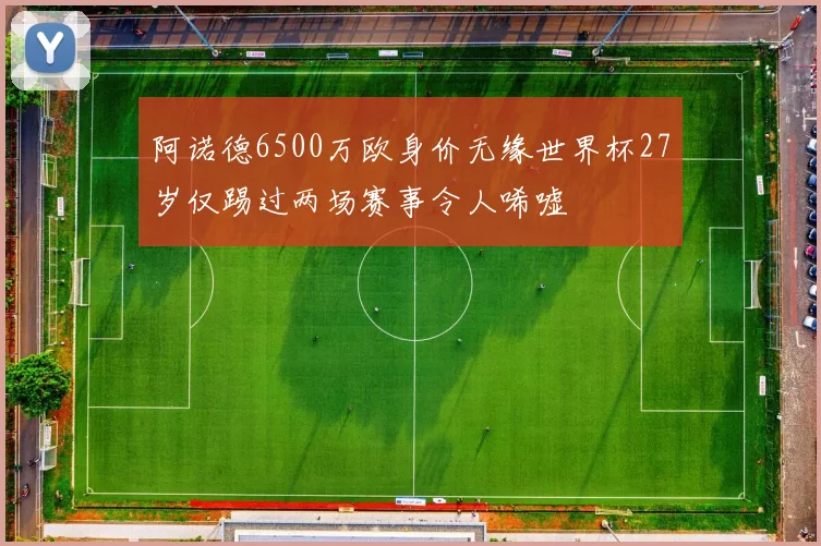 阿诺德6500万欧身价无缘世界杯27岁仅踢过两场赛事令人唏嘘